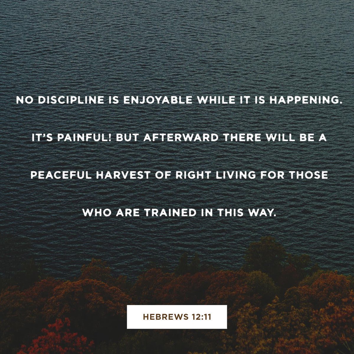 Coach Russell Lucas tweet media