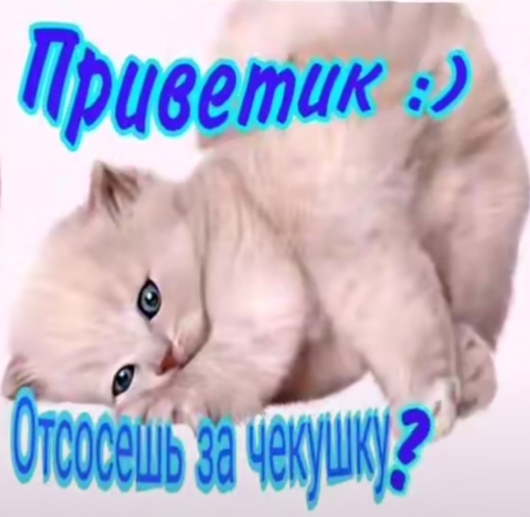 Приветик отсосешь за чекушку
