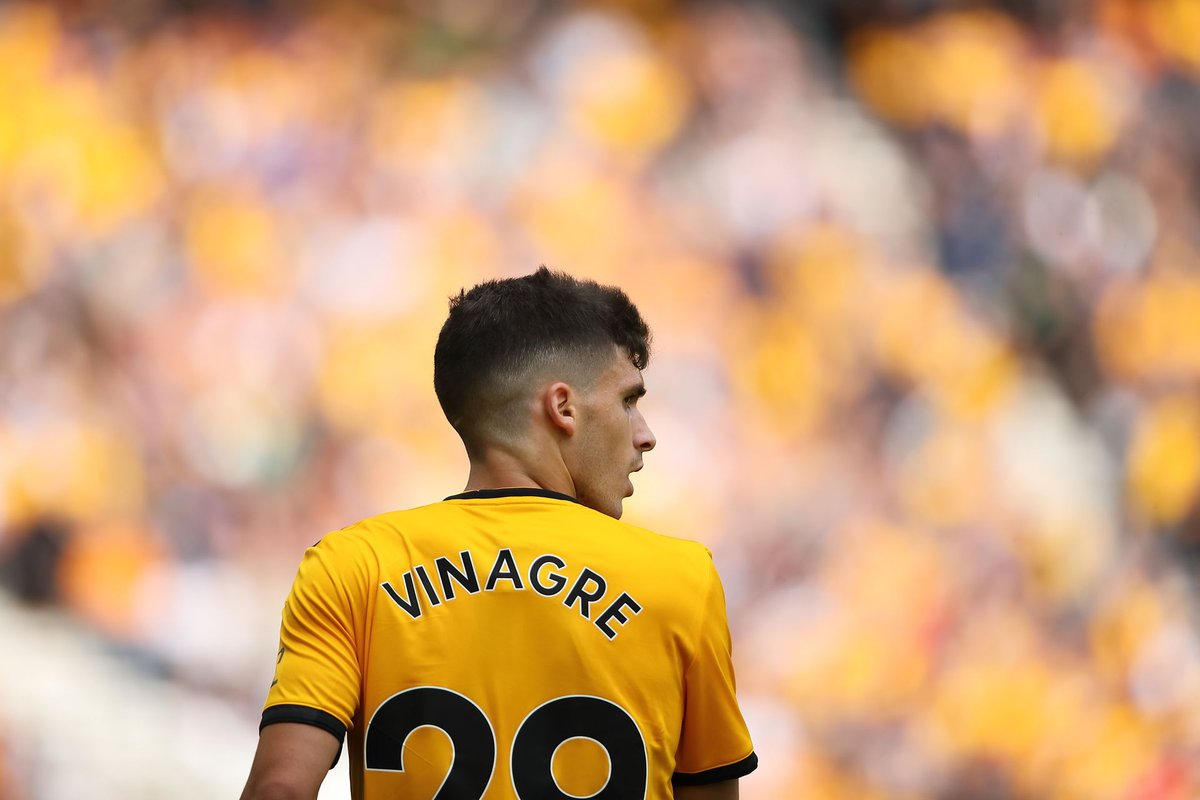 Vinagre £4.5m WOL 13 CS last season. Jonny sidelined with a serious knee injury. Vinagre is certain to start. WHU, FUL, LUFC, NEW, CRY from GWs 3,4,5,6,7Wolves face 2 promoted teams out of these. £4.5m is a steal for WOL def cover. 