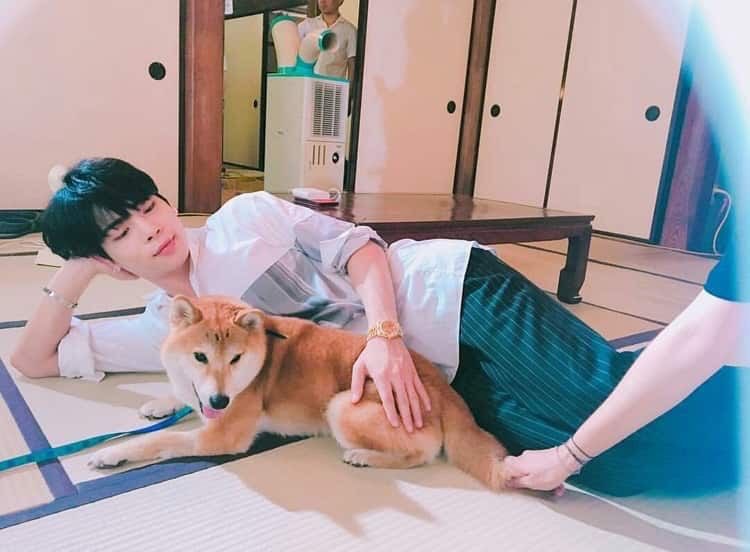 end of unintentional jjong dog thread, in conclusion i love he