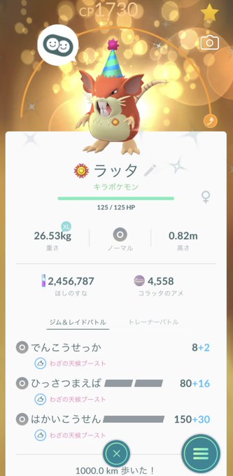 幸 さち さん がハッシュタグ ラッタ をつけたツイート一覧 1 Whotwi グラフィカルtwitter分析