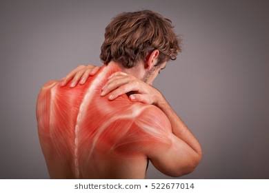 Muscle pain is most often related to tension, overuse, or muscle injury from exercise or hard physical work. Apply ice to muscle to help release pain and inflammation. 
#musclepainrelief
