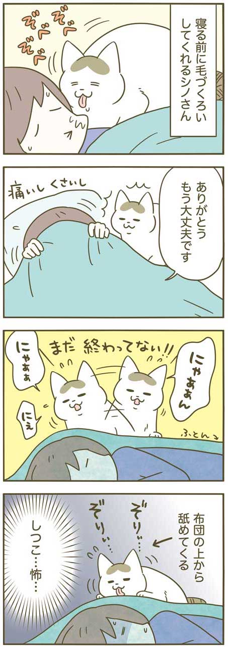 卵山玉子 いいやつなんだけど ときどき愛が重い猫 T Co Abg2hduoce Twitter