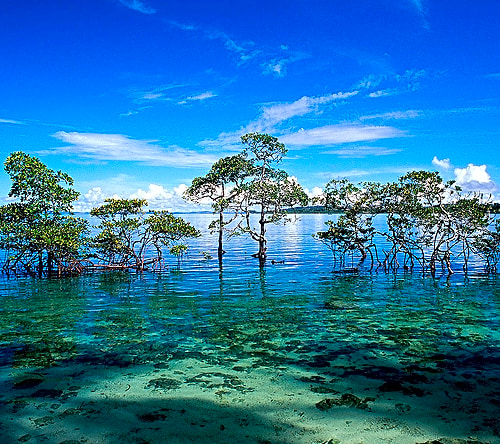 Marine (Gulf of Kutch) National ParkThe Marine National Park was established in 1982 under the provisions of the Wildlife (Protection) Act, 1972 of India.It is the first National Marine Park of India