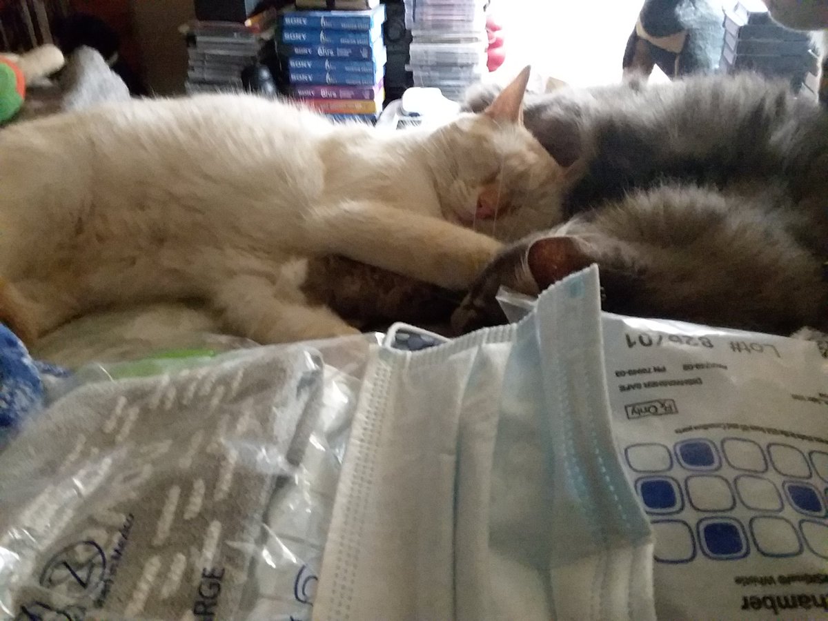 Blue and Shaylee are the best at kindness.