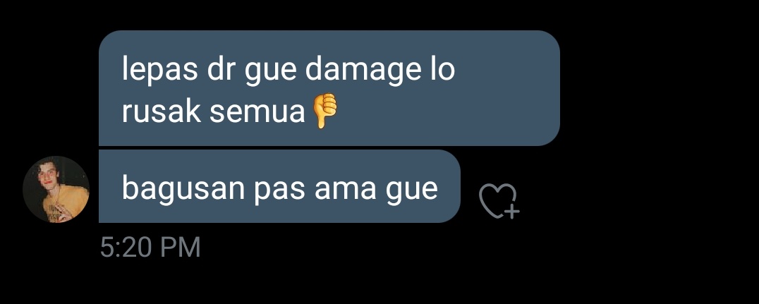 berasa satwa liar gue anjimp