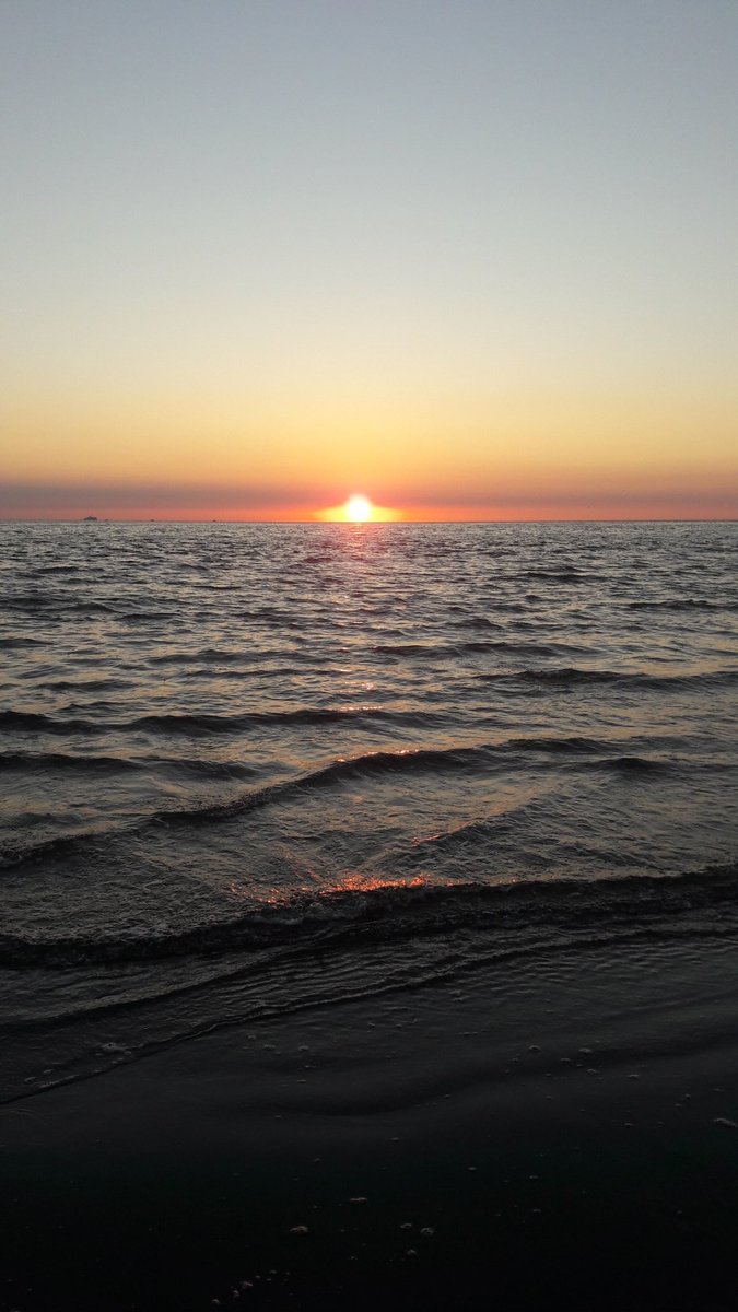lapuppa tweet picture
