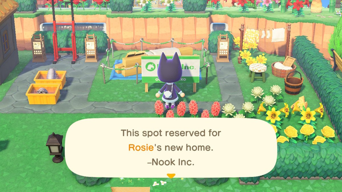 It's Rosie!!!!! I guess the cat.costume worked huh 