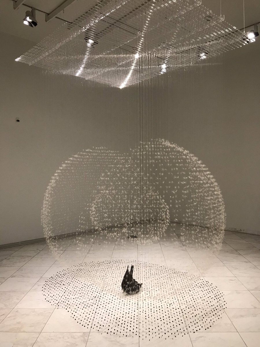 moylandmuseum's tweet photo. Natura Artis Magistra - Naturmaterialien in der zeitgenössischen Kunst (bis 15.2.2021) 
#contemporyart #naturelover #beauty https://t.co/W0Vf4OQDPU
