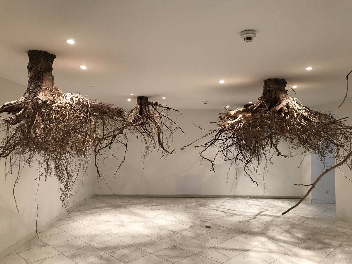 moylandmuseum's tweet photo. Natura Artis Magistra - Naturmaterialien in der zeitgenössischen Kunst (bis 15.2.2021) 
#contemporyart #naturelover #beauty https://t.co/W0Vf4OQDPU