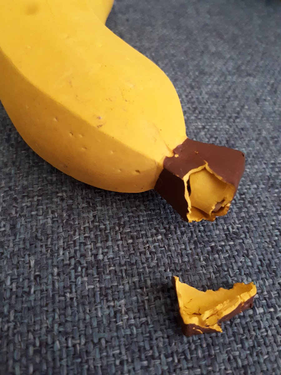 jk_mackenzie's tweet photo. Had some great stuff for my puppy from @AldiUK But sadly this time were both disappointed. Only a pup and this happened in 5 minutes! https://t.co/7UD5aTvLsM