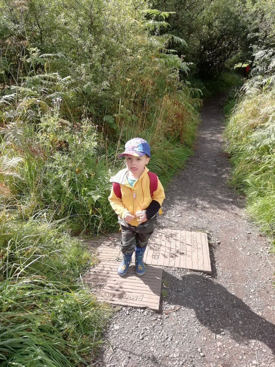 Robert Wight tweet media