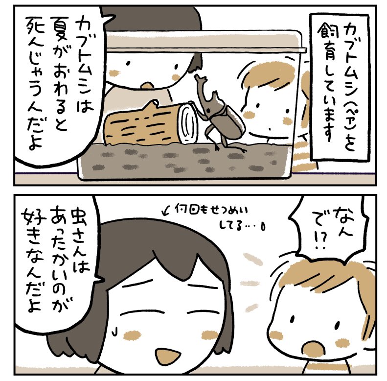 カブトムシの死をなんとか回避しようとする息子の漫画です

#育児絵日記  
#育児漫画
#コミックエッセイ 