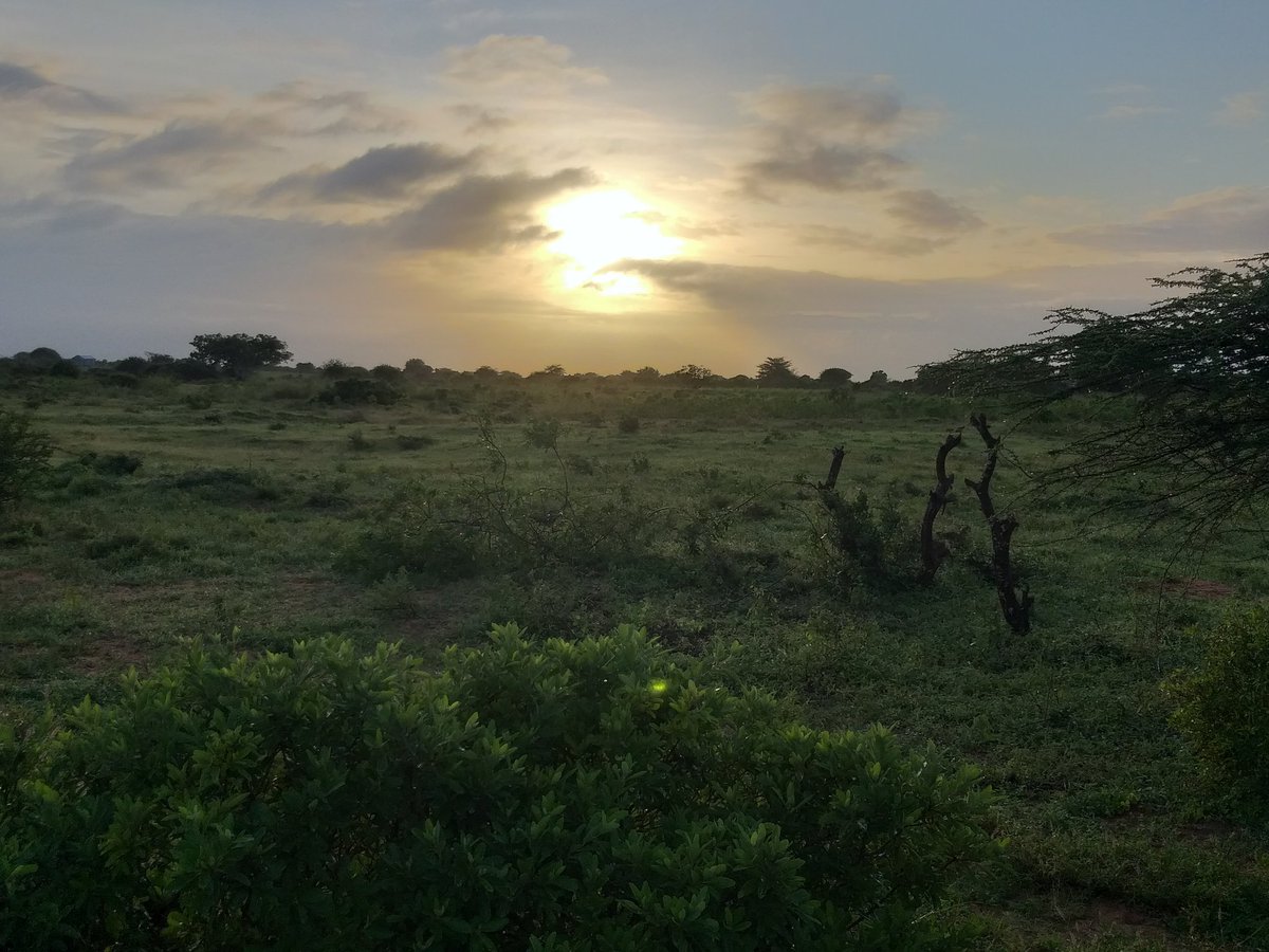 IbrahimJugey's tweet photo. Waa subixi hore ee manta sawiro aan ka qaaday tuulo loo yaqaano #Hareericadle badiyaha degmada $Balcad waxaa ka jirto barwaaqo iyo nabad ilaaahy ha u siyaadiyo. 
Laamiga isku xiro xamar iyo balcad waa mid aad u burbursan gaadidkuna wuxuu isticmalaa jid cadaha dhinacyada ka mara. https://t.co/62enEVtvQb