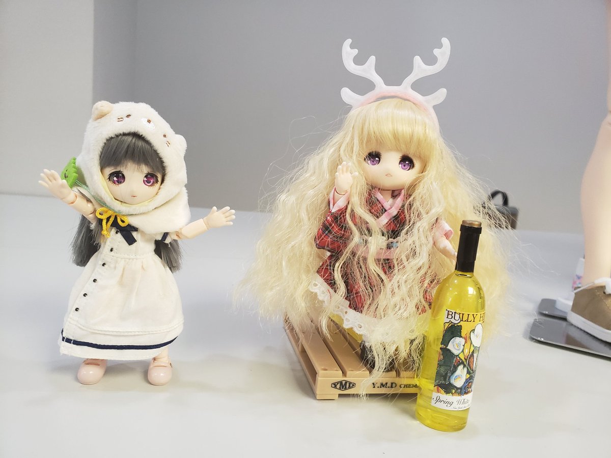 endlwiyTEhywbhP's tweet photo. #DOF11
うちの唯一のあまむすのミントちゃん😊
最近はリプーに触発されて熱心に猫教の布教活動をしています。
しれっと他の娘の横に並んだりします😃 https://t.co/ZrQCHNv0Tu