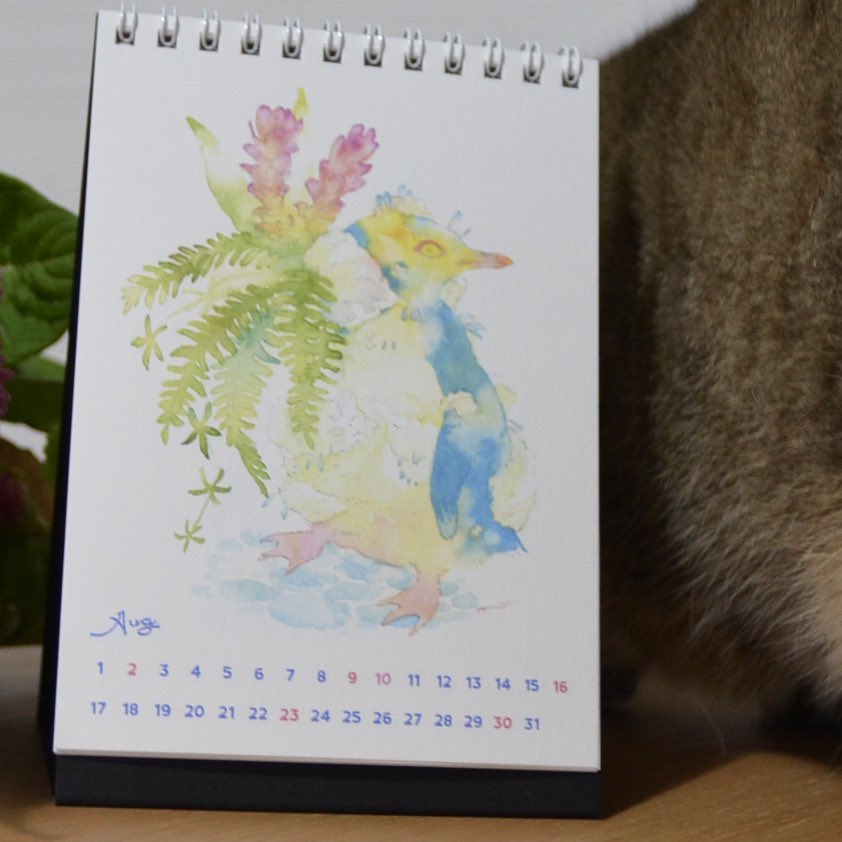 8月も終わりますね今月のカレンダーはキガシラペンギンでした!
来年もつくりたいな! 