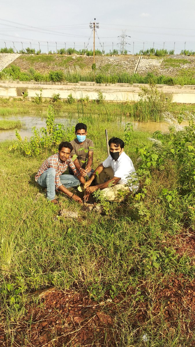 larasangharsh's tweet image. आज संघर्ष की पवित्र स्थली हड़ताल चौक छपोरा में लारा संघर्ष के साथियों द्वारा लारा संघर्ष के प्रणेता और प्रदेश के यशस्वी मुख्यमंत्री आदरणीय भूपेश बघेल जी के जन्मदिन के शुभ अवसर पर वृक्षारोपन किया गया।

#HBDBhupeshbaghel