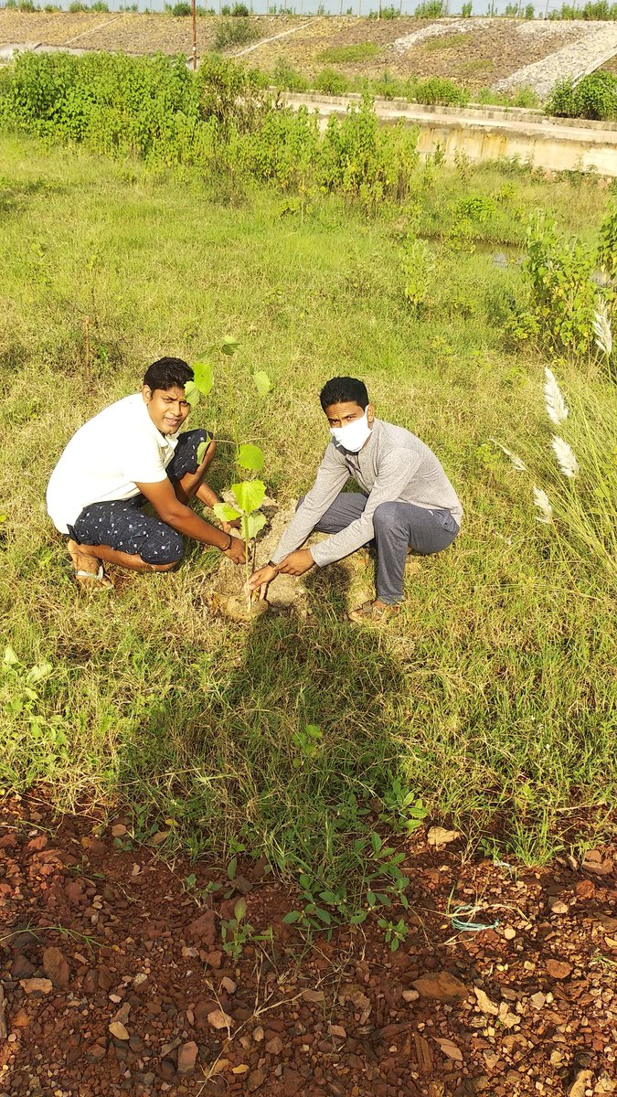 larasangharsh's tweet image. आज संघर्ष की पवित्र स्थली हड़ताल चौक छपोरा में लारा संघर्ष के साथियों द्वारा लारा संघर्ष के प्रणेता और प्रदेश के यशस्वी मुख्यमंत्री आदरणीय भूपेश बघेल जी के जन्मदिन के शुभ अवसर पर वृक्षारोपन किया गया।

#HBDBhupeshbaghel