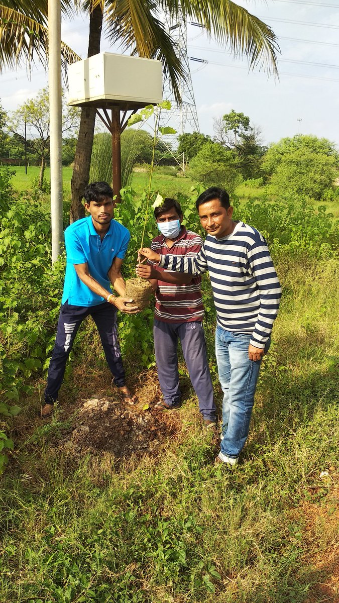 larasangharsh's tweet image. आज संघर्ष की पवित्र स्थली हड़ताल चौक छपोरा में लारा संघर्ष के साथियों द्वारा लारा संघर्ष के प्रणेता और प्रदेश के यशस्वी मुख्यमंत्री आदरणीय भूपेश बघेल जी के जन्मदिन के शुभ अवसर पर वृक्षारोपन किया गया।

#HBDBhupeshbaghel