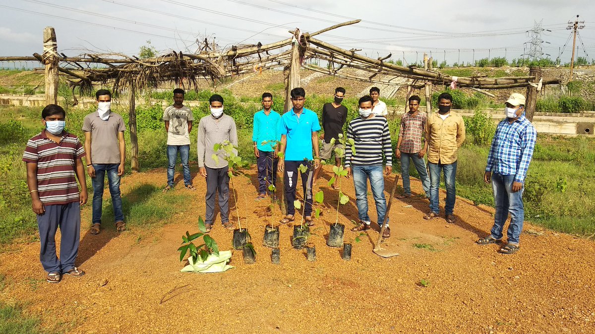 larasangharsh's tweet image. आज संघर्ष की पवित्र स्थली हड़ताल चौक छपोरा में लारा संघर्ष के साथियों द्वारा लारा संघर्ष के प्रणेता और प्रदेश के यशस्वी मुख्यमंत्री आदरणीय भूपेश बघेल जी के जन्मदिन के शुभ अवसर पर वृक्षारोपन किया गया।

#HBDBhupeshbaghel