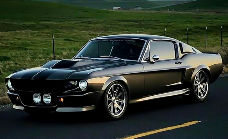 MustangGirlS550's tweet photo. #ShelbySunday 🌞🍃 https://t.co/mqyjLYJ7h5