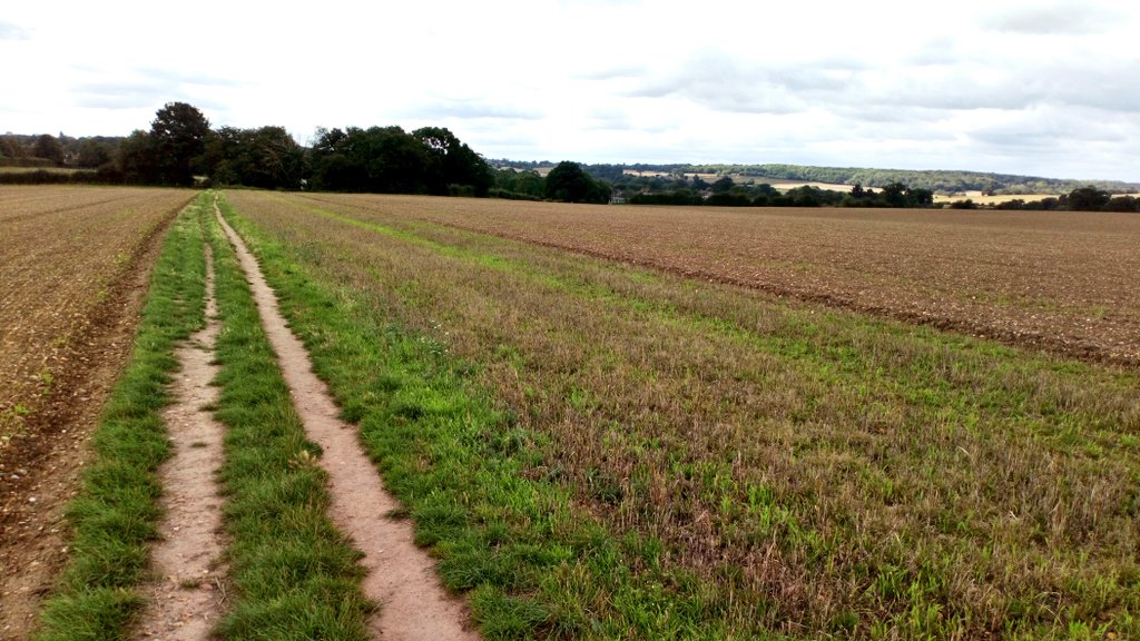 smartwayforward's tweet photo. Lovely 5 mile run around the Hertfordshire countryside. First long run since achilles injury so really pleased & feeling good! Now, ready for a relaxing afternoon of reading, planning & training prep for the week ahead. Nadeem👍🏼 #PositiveMindset #FocusedThoughts #HealthyLifestyle https://t.co/TN42Fo5J4N