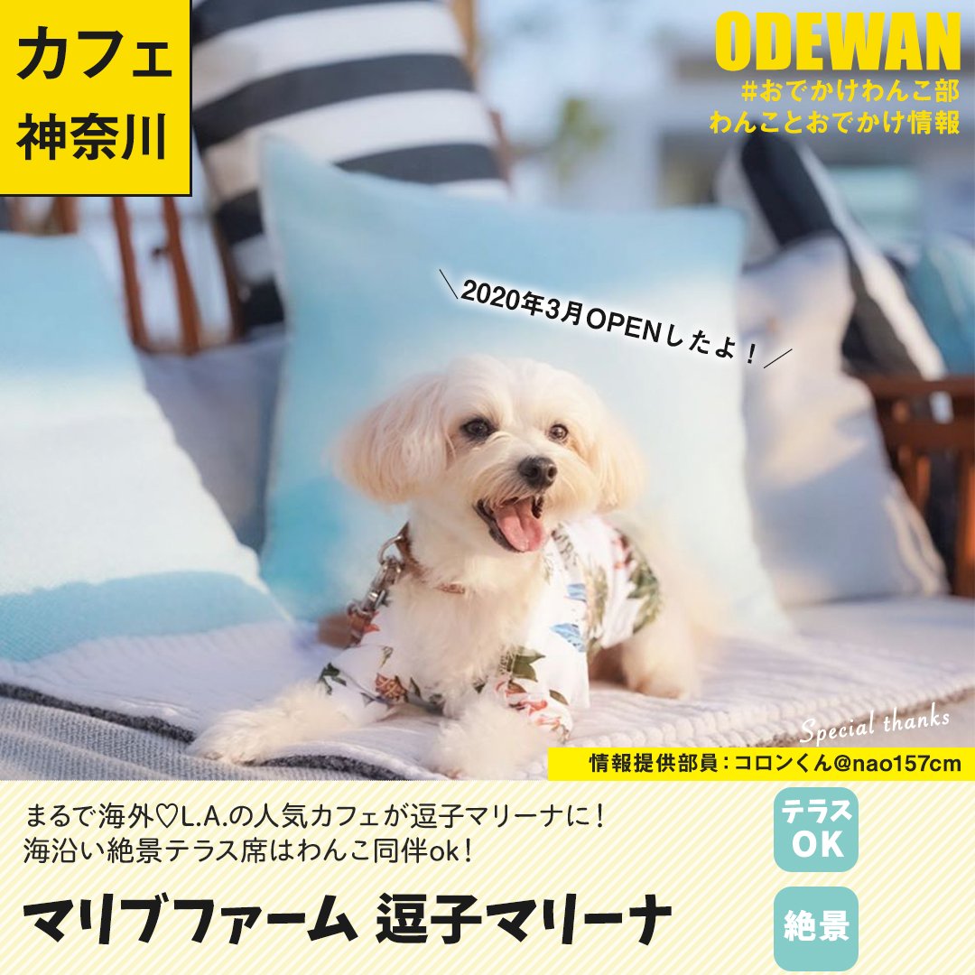 おでかけわんこ部 愛犬とのおでかけ情報 Odewanbu Twitter