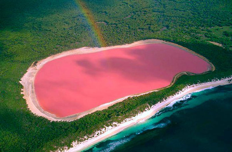 Compilation des lacs roses dans le monde.Le lac Hillier, Australie 
