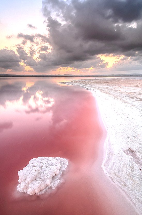 Dusty Rose Lake, Canada 