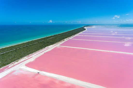  Las Coloradas, Mexique 