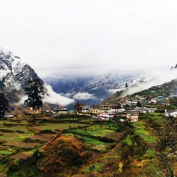 Urgam Valley
.
Photo @baniya_graphy
#uttarakhand #urgam #uttarakhandvillage #garhwal
. . . . . .
. . . . . .
To get featured, DM or tag us.
. . . . . .
. . . . . .
Follow us @uttarakhand https://t.co/6SZPtTgaZa