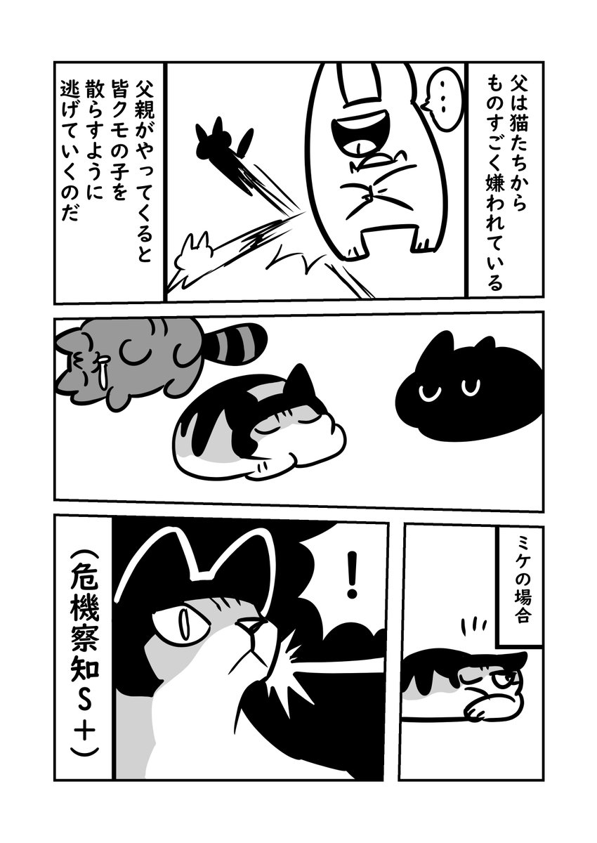 猫が父を嫌い過ぎている話 #猫パン日記 #ぬら次郎日記 