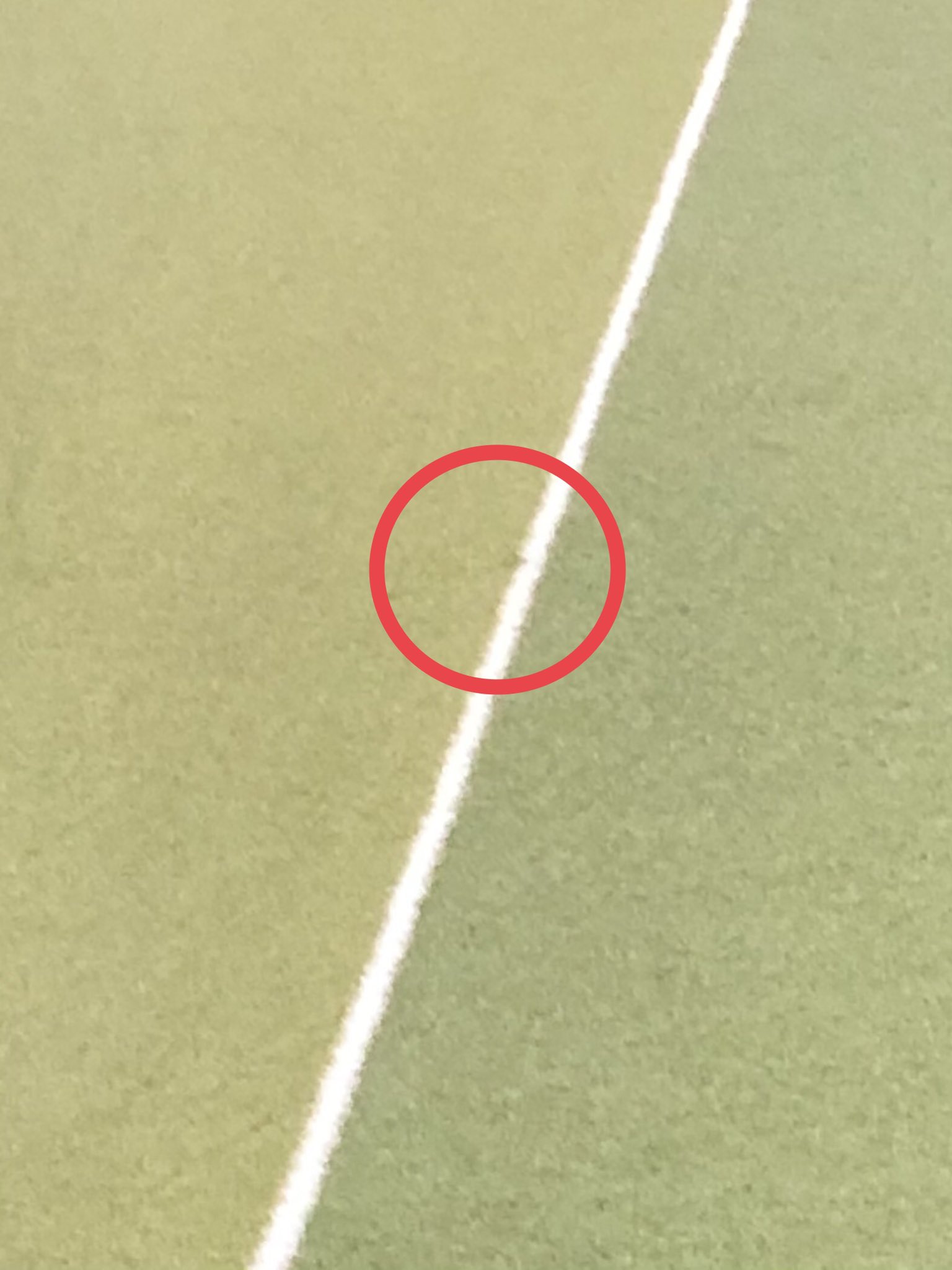 のぐっちゃん 鳥谷の打球痕 コレはフェアでしょうか ファールでしょうか 鳥谷敬 フェア ファール 福家英登 T Co 5uckx5zg42 Twitter