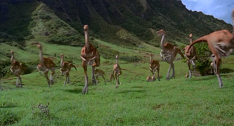 En 1993, les Gallimimus se sont aussi échappés. Alan Grant, Tim et Lex Murphy aperçoivent le troupeau qui court. Manquant de se faire piétiner. Mais Rexy, le Tyrannosaure du parc tend une embuscade et dévore un individu sous le regard trop intrigué de Tim.