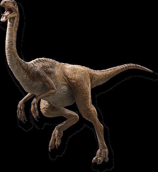 Le Gallimimus réapparaît ensuite, de manière fugace cependant, dans le film Jurassic World, sous une nouvelle variante qu'on aperçoit.L'espèce n'a pas été impliquée dans l'incident d'Isla Nublar en 2015.