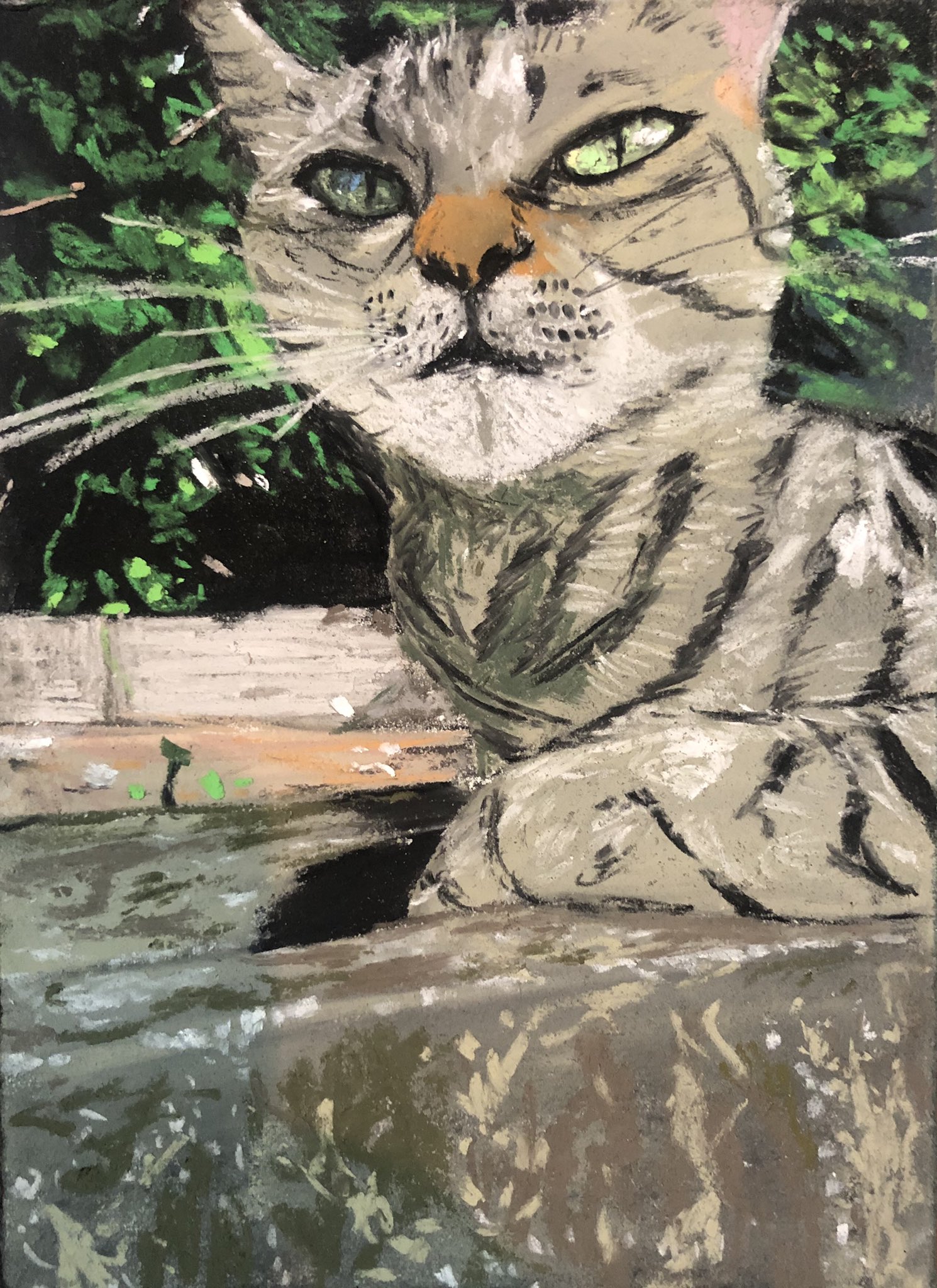 絵画『座った猫』ヘイ平山画 絵画『座った猫』ヘイ平山画
