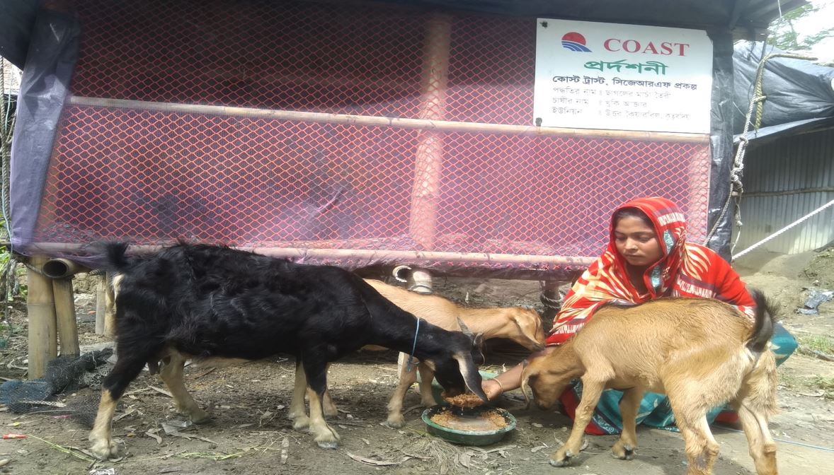 aniksarfaraz's tweet photo. Khuki Akhtar resident of #Kutubdia, Cox's Bazar has been benefited by rearing goats on #Scaffold. This #climate #adaptive #technology is provided by #COAST-#CJRF project.  
@CJRFund @MAHasan76820821 @HMcGray
 @RezaKChyBD @DFID_UK https://t.co/E7Rz6wnhDk