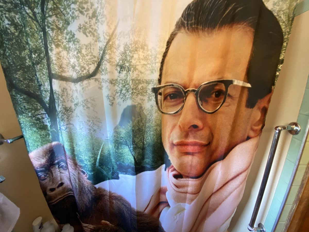 owlizard on Twitter "Oh that? It’s my brothers Jeff goldblum holding a
