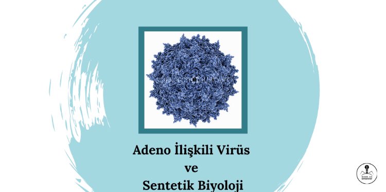 Geneusbiotech1's tweet photo. “Adeno İlişkili Virüs ve Sentetik Biyoloji” adlı yazımızı aşağıdaki linkten okuyabilirsiniz. 👇🏻Keyifli okumalar! 🦠
#geneusbiyoteknoloji #geneus #adenoassociatedvirus
Link: https://t.co/lvDoa3idxP https://t.co/m7pzKAYuhR