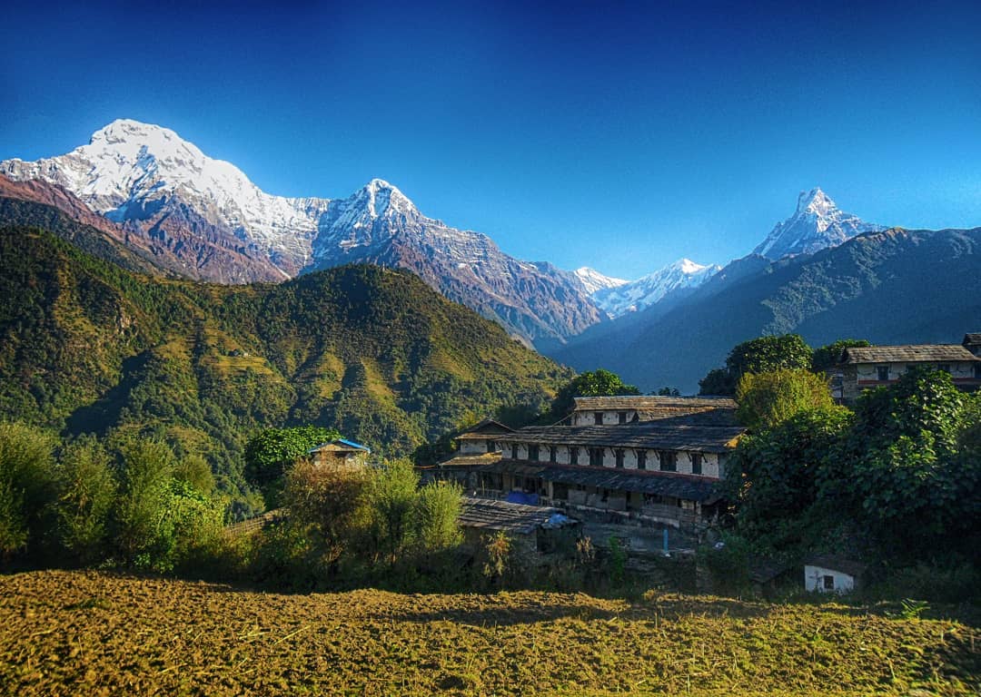 sulavyatra's tweet photo. Magical view from Ghandrukππ
.
.
π· 1 minutenepal
#sulavyatra #Ghandruk #GurungVillage #abctrek #abc #abctrail #AnnapurnaSanctuary #hiunchuli #fishtail #macchapuchre #AnnapurnaSouth #nepalplanettreks #nepalplanet #instagrammer #planetmountain #instanepal #Nepal8thWonder https://t.co/pXmhZIBLnK