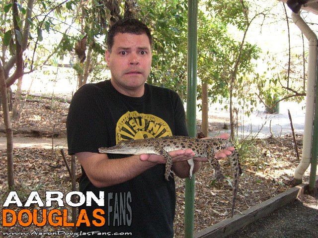 Happy birthday to the Chief himself, Aaron Douglas. 

So celebrate we all!

Photos courtesy of 