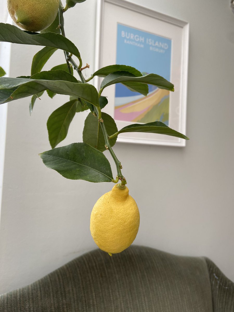 Time for gin tweet media