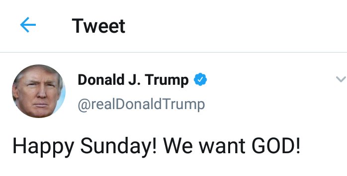 AmyLynnStL's tweet photo. We want God...bunch of bullshit from a bastard who let's 176k die, puts kids in fucking cages, sexually assaults women, and is a racist, sexist, corrupt, cheating, fraudulent, lying son of a bitch!  You can blow your "God" claims out your fucking ass! https://t.co/IdKJsmrToD
