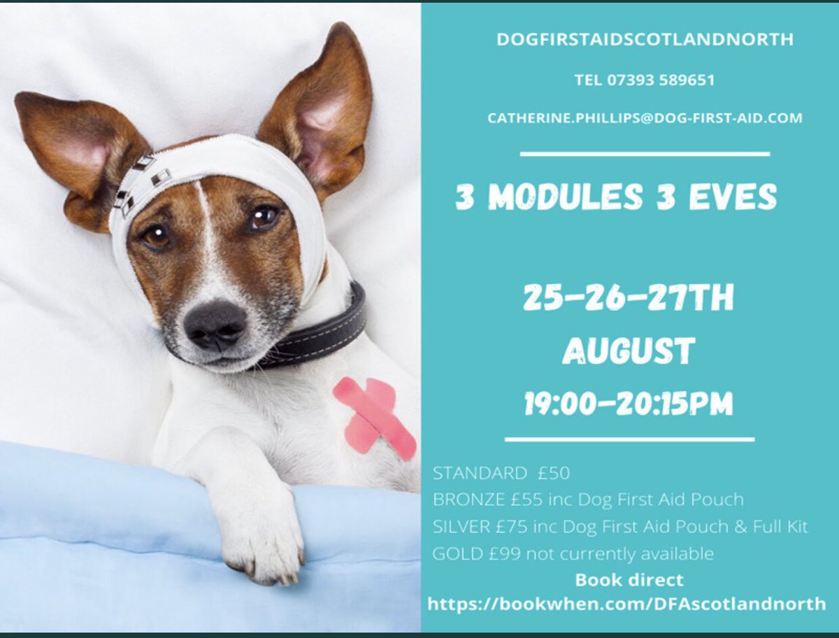 DFASCOTLANDNOR1's tweet image. Shout out for next weeks 3 eve course book direct 👉🏻bookwhen.com/DFAscotlandnor…  #dogfirstaidscotlandnorth #dogsoftwitter #dogfriendlyscotland #Fife #tayside #aberdeenshire #perthshire #Edinburgh #Glasgow #stirling #perth #Inverness #moray #highland #caithness #argyll