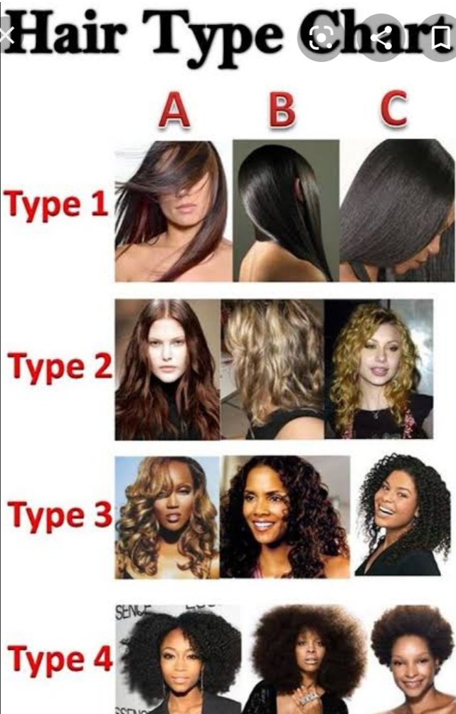 What is Hair Type And What is Your Hair Type  Elan Hair Green Hills