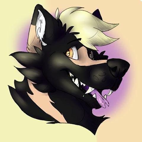 WOLF_PACKXX's tweet photo. https://t.co/JHmQMzW1eY