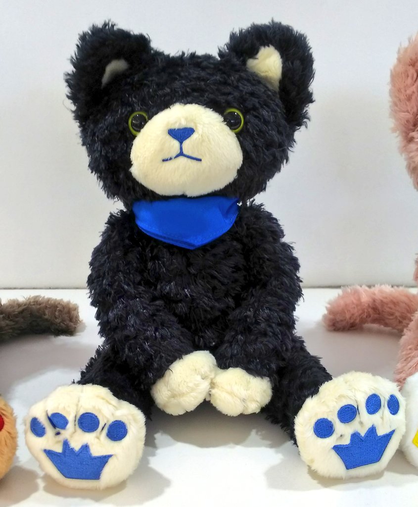 うたプリ PRINCE CAT HE☆VENS プリンスキャット プリキャ ヘヴンズ 1/2