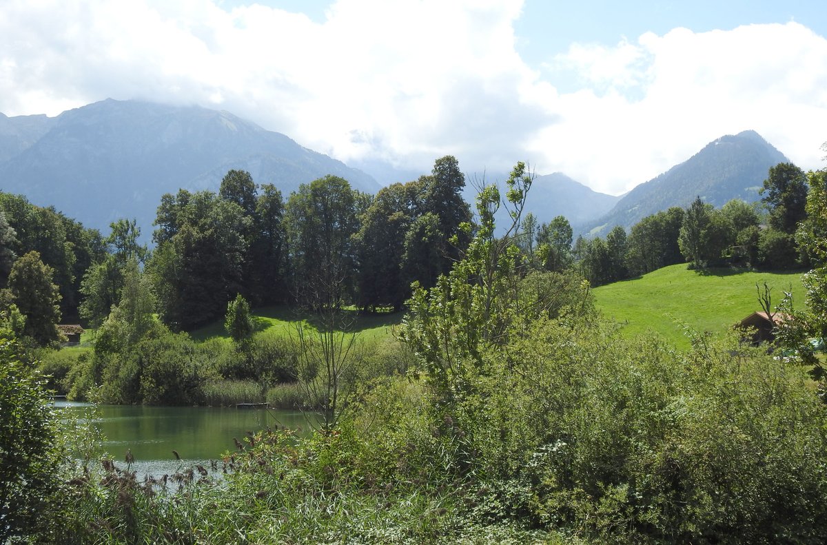 By chance I am a short drive from Interlaken & Burgseeli, so we jumped in the car to see if we could find the spot. We did. And here it is. It's not a tourist spot or anything. Just a place where someone once stood to take a photo which ended up in a commercial photo library. 5/6