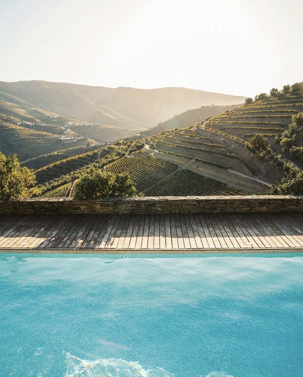 TourAzores's tweet photo. Sunday vibes 😎. Who can't wait to be back in Porto?⠀

📷: @creativefabien⠀

#comeexplorewithus #visitportugal #douro #portugal #douroriver #travel #vineyards #wine #sundayvibes #SundayMotivation #SundayMorning https://t.co/OvopftWSYu