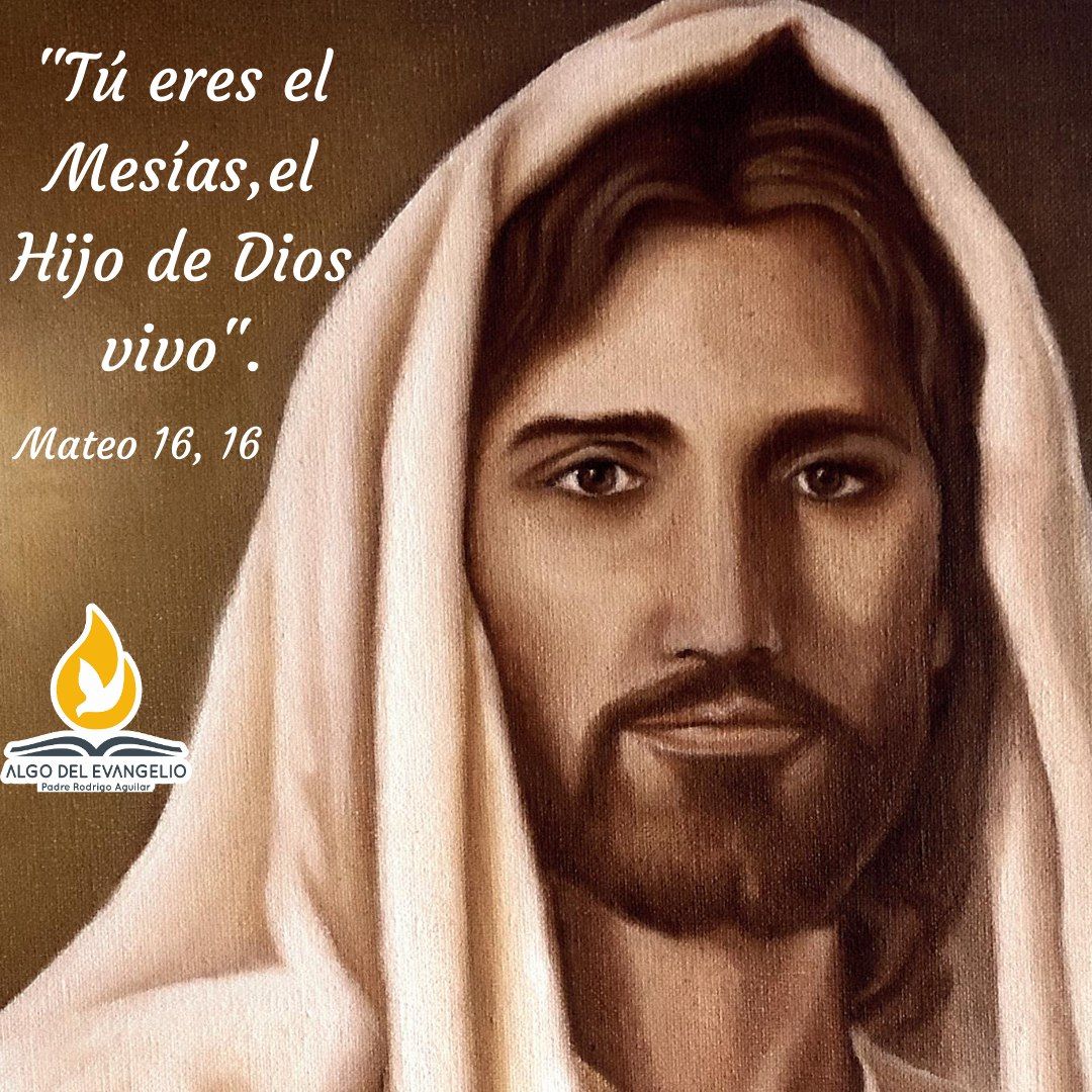 Hna. Esperanza (@espefraternidad) on Twitter photo 